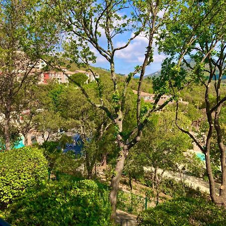 Les Restanques Bruyeres 2103 Proche Piscine Διαμέρισμα Grimaud Εξωτερικό φωτογραφία