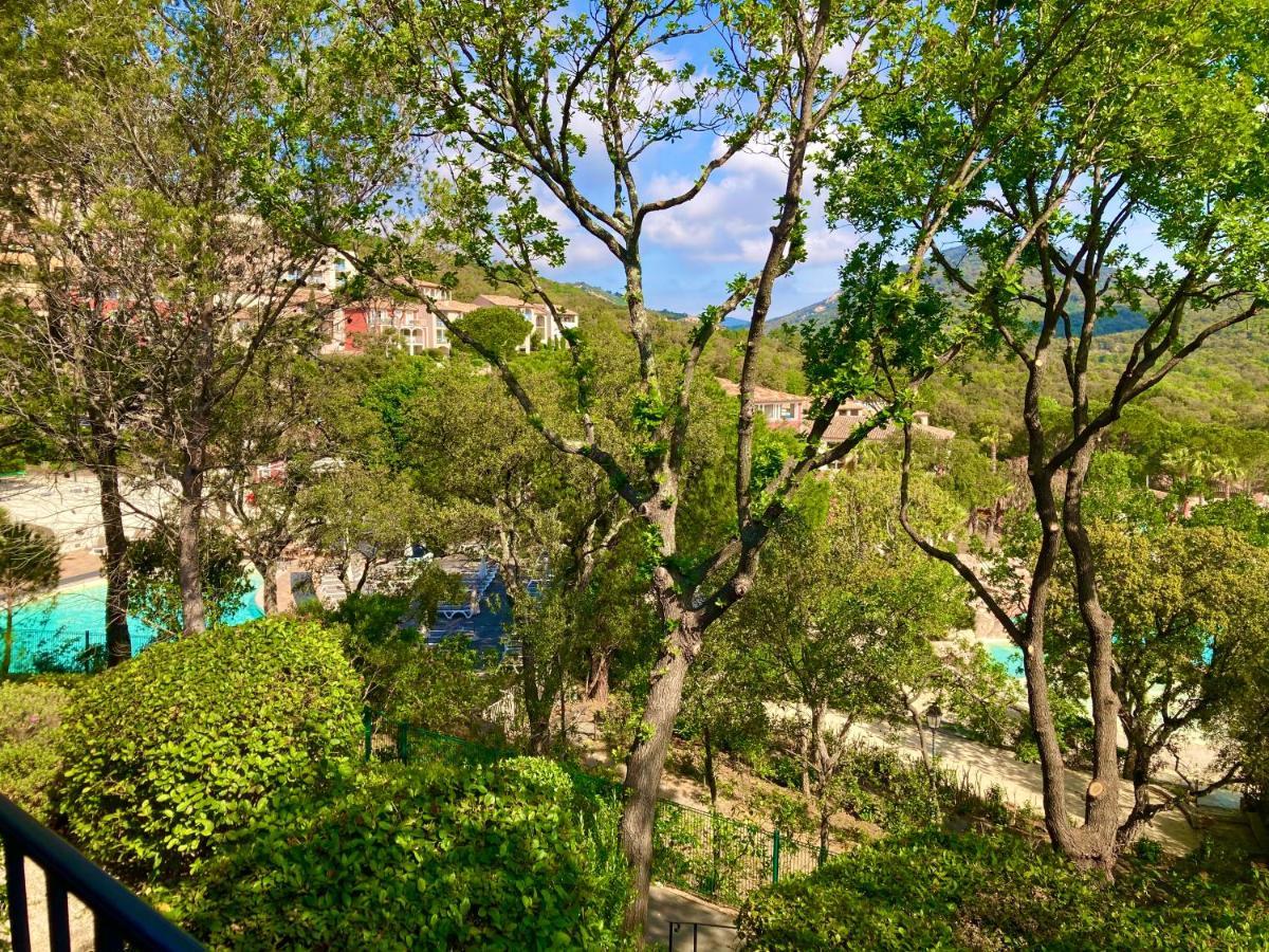 Les Restanques Bruyeres 2103 Proche Piscine Διαμέρισμα Grimaud Εξωτερικό φωτογραφία