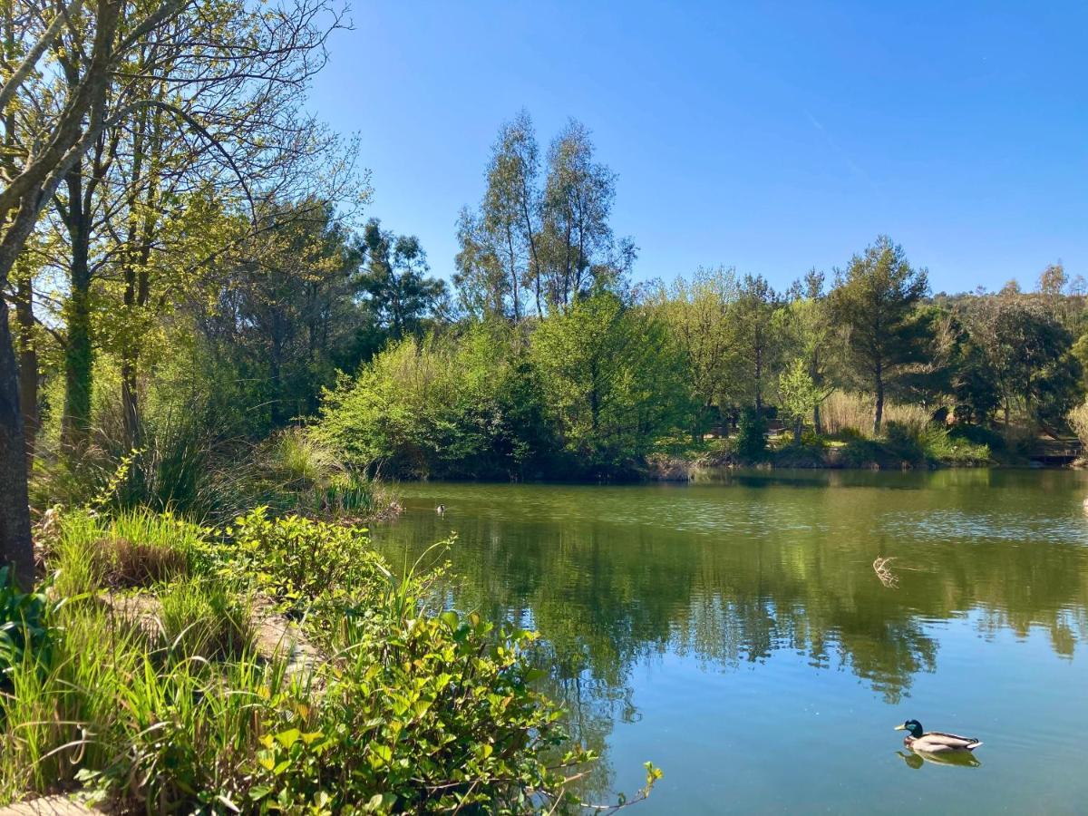 Les Restanques Bruyeres 2103 Proche Piscine Διαμέρισμα Grimaud Εξωτερικό φωτογραφία
